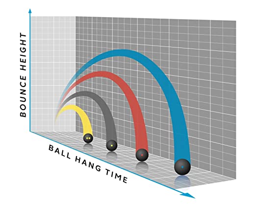 DUNLOP INTRO Blue Dot Squash Ball Box (12 Pieces)